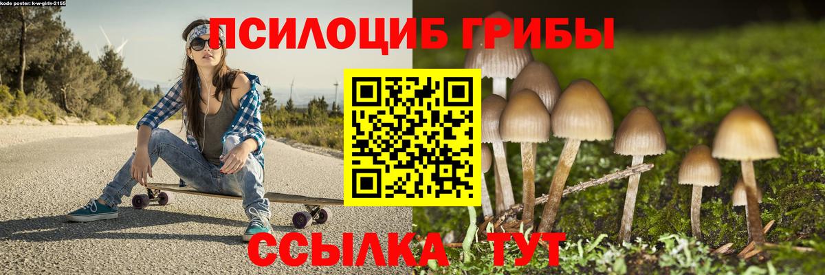 Псилоцибиновые грибы Psilocybine cubensis  Галлюциногенные грибы прущие грибы  Аксай  Вход с VPN 